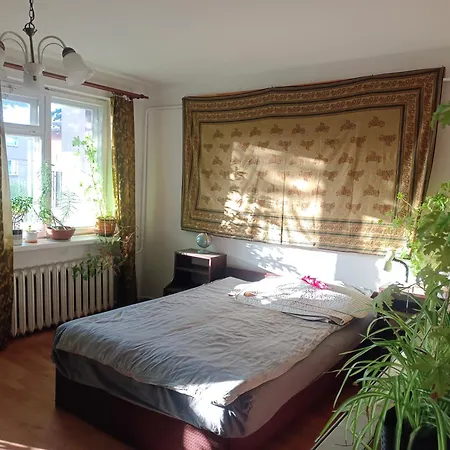 Safari House - Dom Podroznika Gdynia