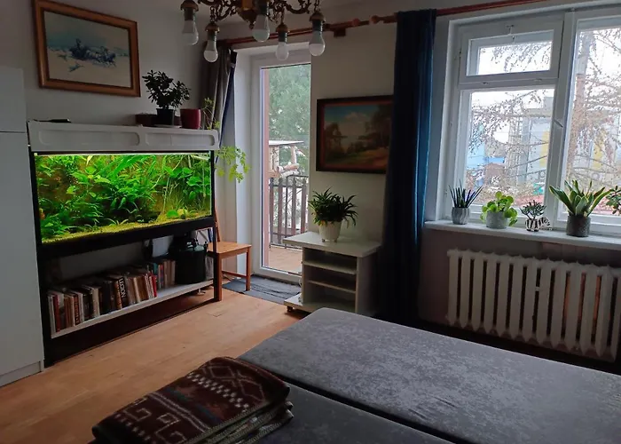 Safari House - Dom Podroznika *